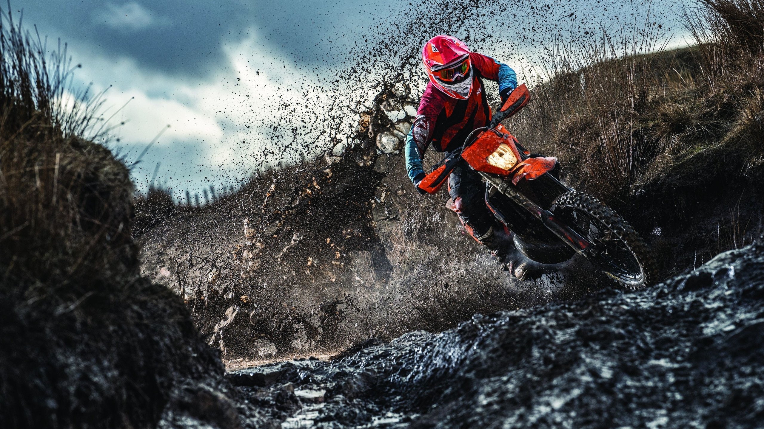 以七场胜利为投枪，刺穿爆冷的虚妄，当科维托娃与勇士共书竞技体育的本质，投枪与本质，科维托娃与勇士队的七场胜利之诗